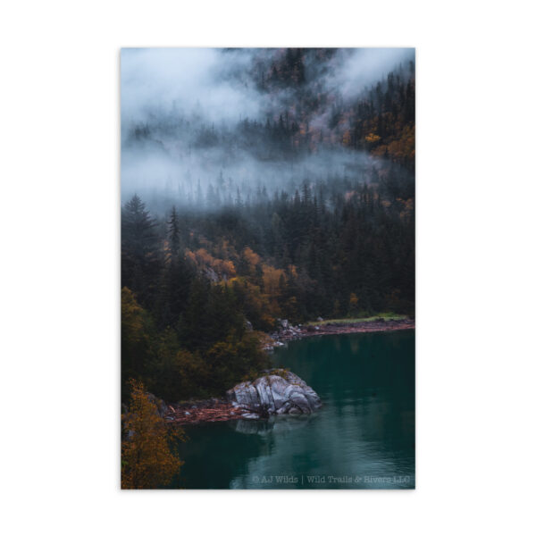 standard-postcard-4x6-front-698abce2b0906.jpg Autumn Fog Postcard