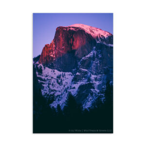 Half Dome Postcard