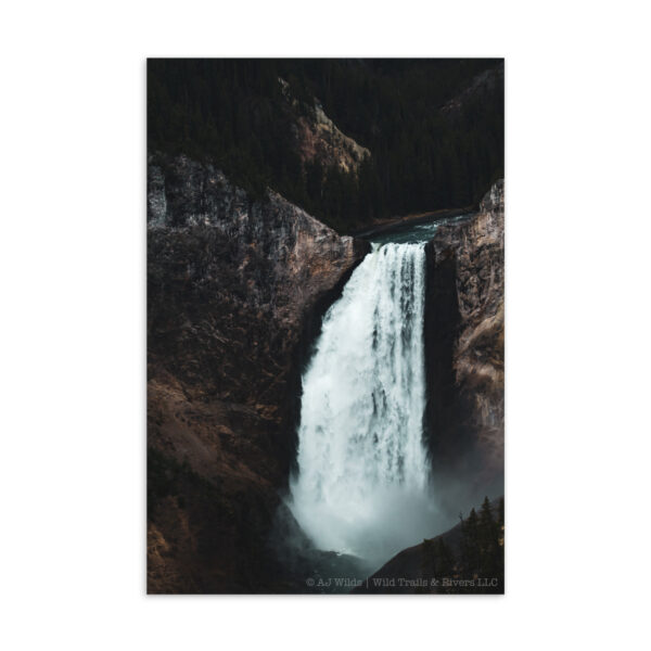 standard-postcard-4x6-front-698acfa54f8cc.jpg Lower Falls of the Yellowstone Postcard