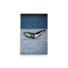 premium-luster-photo-paper-poster-in-12x18-front-6a3cea69762ef.jpg Flame