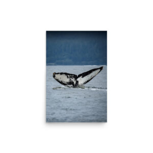 premium-luster-photo-paper-poster-in-12x18-front-6a3cea69762ef.jpg Flame