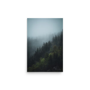 Fog