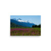 premium-luster-photo-paper-poster-in-12x18-front-6a3e027217715.jpg Dyea, Alaska