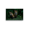 premium-luster-photo-paper-poster-in-12x18-front-6a3e357ce1f41.jpg Fox Kits