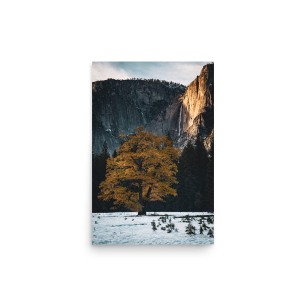 premium-luster-photo-paper-poster-in-12x18-front-6a3e404412412.jpg Golden Hour
