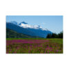 premium-luster-photo-paper-poster-in-16x24-front-6a3e02721863f.jpg Dyea, Alaska