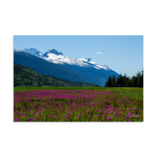 premium-luster-photo-paper-poster-in-16x24-front-6a3e02721863f.jpg Dyea, Alaska