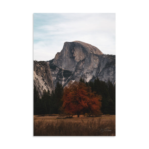Half Dome in Fall