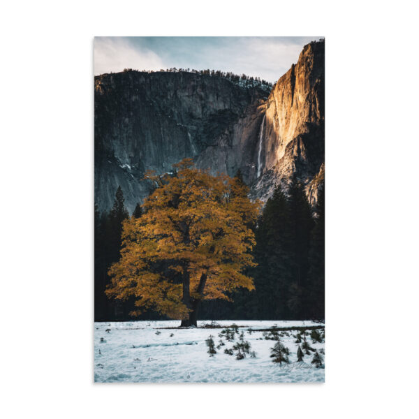 premium-luster-photo-paper-poster-in-16x24-front-6a3e404412d4b.jpg Golden Hour