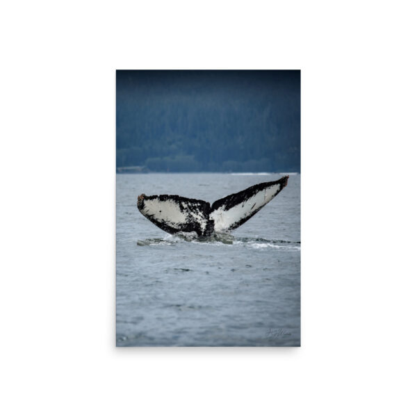 premium-luster-photo-paper-poster-in-20x30-front-6a3cea697733c.jpg Flame