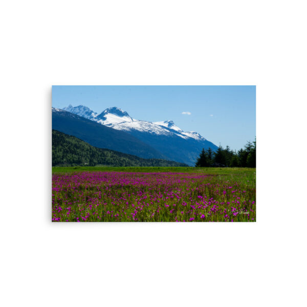 premium-luster-photo-paper-poster-in-20x30-front-6a3e027218576.jpg Dyea, Alaska