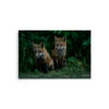 premium-luster-photo-paper-poster-in-20x30-front-6a3e357ce2971.jpg Fox Kits