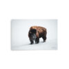 premium-luster-photo-paper-poster-in-20x30-front-6a3e3bd281ce3.jpg Bison in Snow