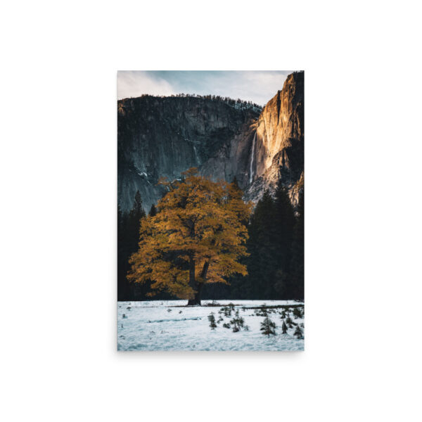 premium-luster-photo-paper-poster-in-20x30-front-6a3e404412cc2.jpg Golden Hour