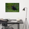 premium-luster-photo-paper-poster-in-24x36-front-6a3ce65fee048.jpg Black Bear Eating Horsetail