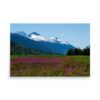 premium-luster-photo-paper-poster-in-24x36-front-6a3e02721867c.jpg Dyea, Alaska